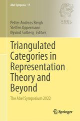 Triangulated Categories in Representation Theory and Beyond - 