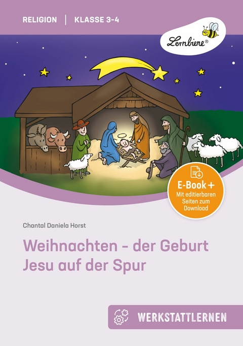 Weihnachten - der Geburt Jesu auf der Spur -  Chantal Daniela Horst