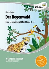 Der Regenwald - Mara Hasler