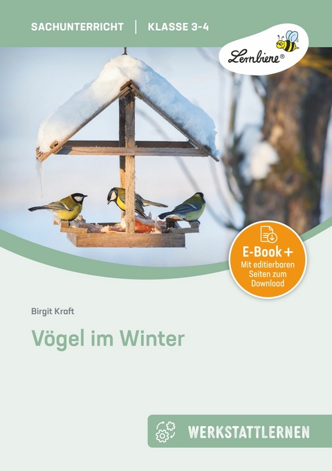 Vögel im Winter - Birgit Kraft