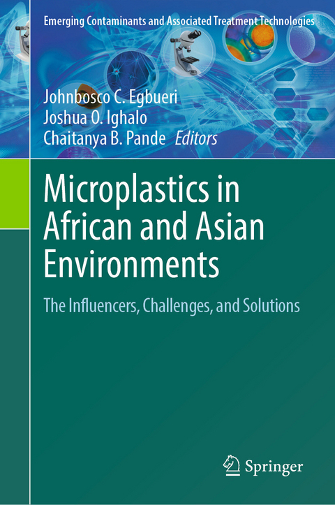 Microplastics in African and Asian Environments - 