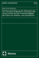 Die Berücksichtigung der Behinderung eines Kindes bei der Erwerbstätigkeit der Eltern im Arbeits- und Sozialrecht - Birgit Große Stetzkamp