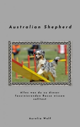 Australian Shepherd -  Aurelia Wolf