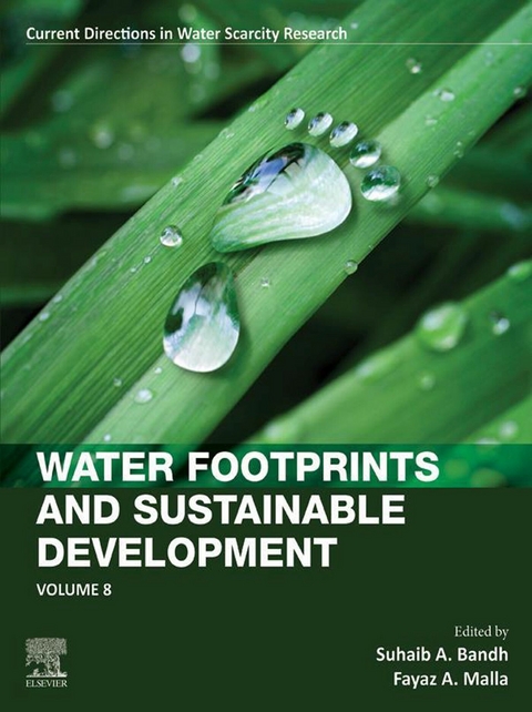 Water Footprints and Sustainable Development - 