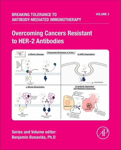 Overcoming Cancers Resistant to HER-2 Antibodies - 