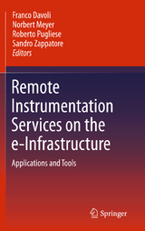 Remote Instrumentation Services on the e-Infrastructure - 