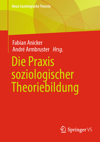 Die Praxis soziologischer Theoriebildung - André Armbruster; Fabian Anicker