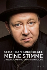 Meine Stimme -  Sebastian Krumbiegel