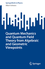 Quantum Mechanics and Quantum Field Theory from Algebraic and Geometric Viewpoints - Albert Schwarz