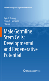 Male Germline Stem Cells: Developmental and Regenerative Potential - 