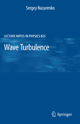 Wave Turbulence - Sergey Nazarenko