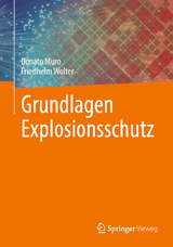 Grundlagen Explosionsschutz - Donato Muro, Friedhelm Wolter