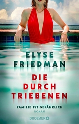 Die Durchtriebenen -  Elyse Friedman