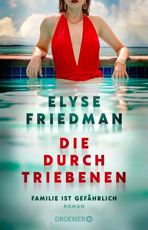 Die Durchtriebenen -  Elyse Friedman