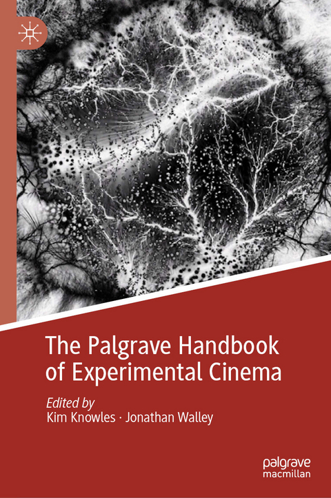 The Palgrave Handbook of Experimental Cinema - 