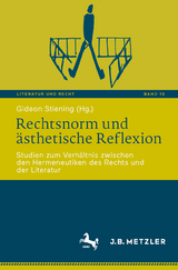 Rechtsnorm und ästhetische Reflexion - 