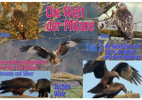 Die Welt der Milane Teil 2 -  Jochen Walz