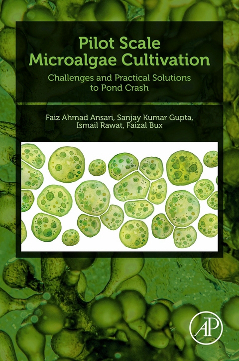 Pilot Scale Microalgae Cultivation -  Faiz Ahmad Ansari,  Faizal Bux,  Sanjay Kumar Gupta,  Ismail Rawat