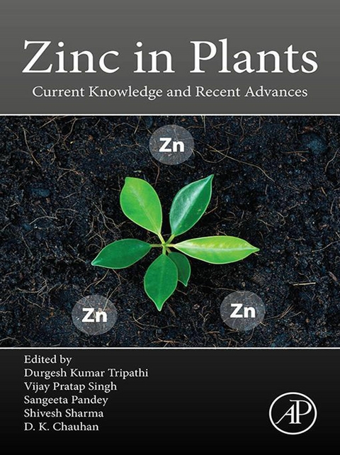 Zinc in Plants - 