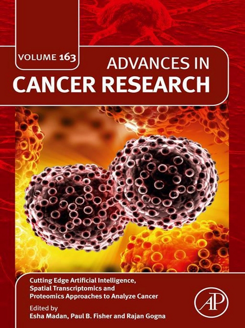 Cutting Edge Artificial Intelligence, Spatial Transcriptomics and Proteomics Approaches to Analyze Cancer - 