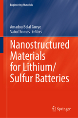 Nanostructured Materials for Lithium/Sulfur Batteries - 