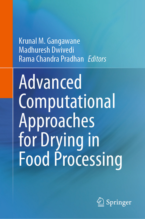 Advanced Computational Approaches for Drying in Food Processing - 