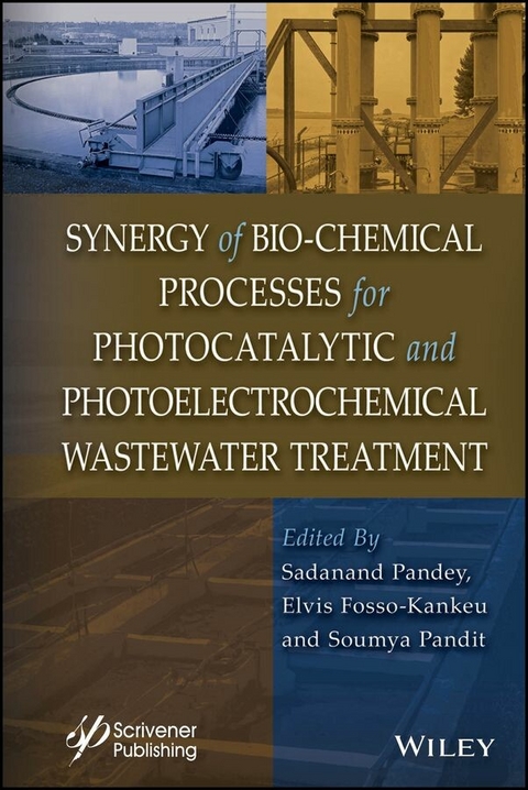 Synergy of Bio-Chemical Processes for Photocatalytic and Photoelectrochemical Wastewater Treatment - 