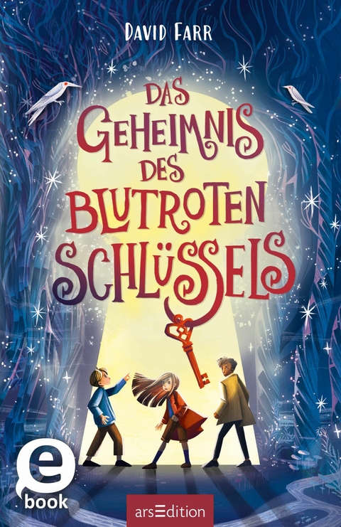 Das Geheimnis des blutroten Schlüssels (Das Buch der gestohlenen Träume 2) -  David Farr