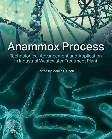 Anammox Process - 