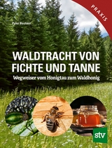 Waldtracht von Fichte und Tanne - Peter Buchner