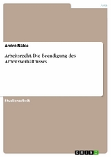 Arbeitsrecht. Die Beendigung des Arbeitsverhältnisses - André Nähle