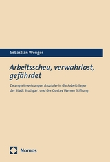 Arbeitsscheu, verwahrlost, gefährdet - Sebastian Wenger