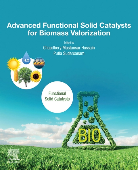 Advanced Functional Solid Catalysts for Biomass Valorization - 