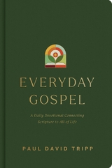 Everyday Gospel -  Paul David Tripp