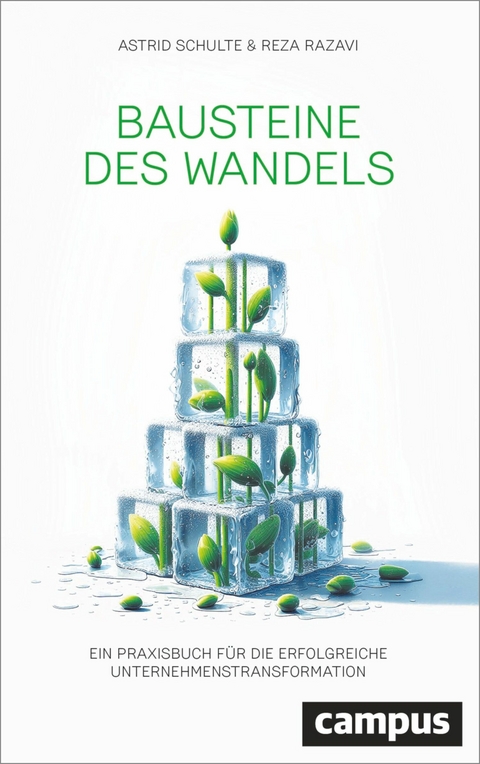 Bausteine des Wandels - Astrid Schulte, Reza Razavi