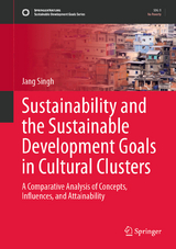 Sustainability and the Sustainable Development Goals in Cultural Clusters - Jang Singh