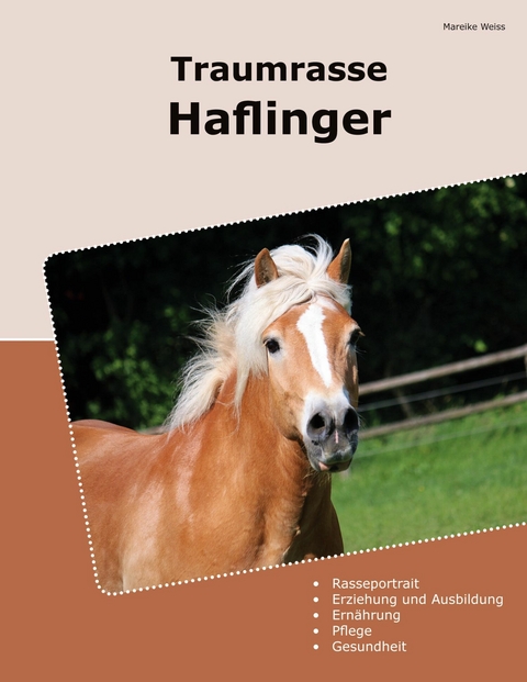 Traumrasse Haflinger -  Mareike Weiss