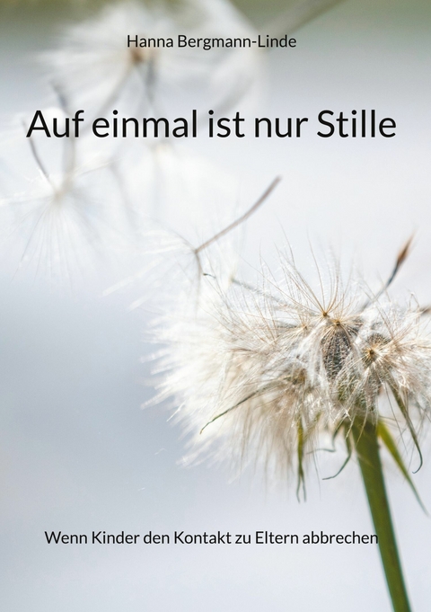 Auf einmal ist nur Stille -  Hanna Bergmann-Linde