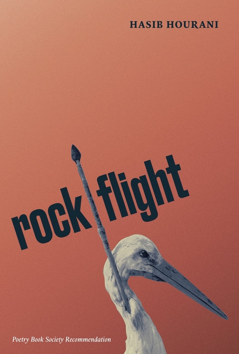 rock flight -  Hasib Hourani