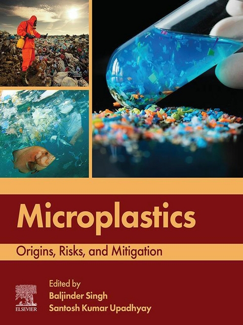 Microplastics - 