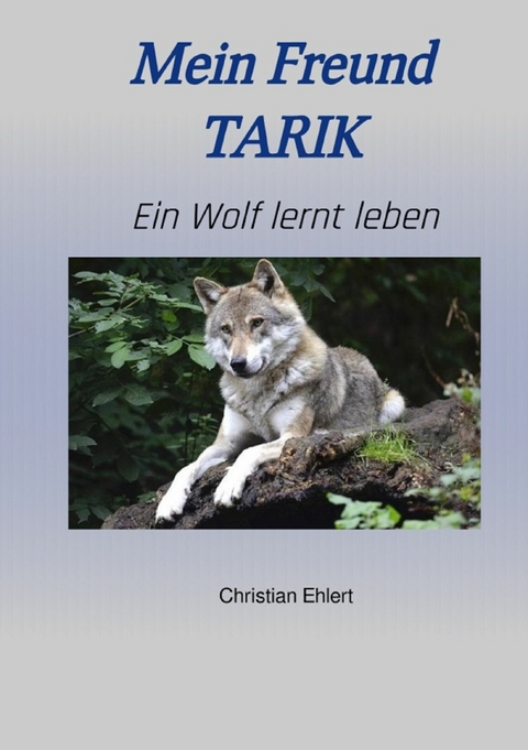 Mein Freund Tarik -  Christian Ehlert