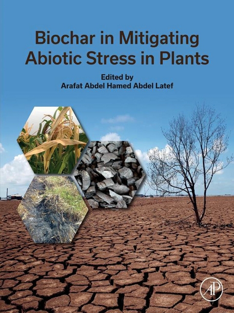 Biochar in Mitigating Abiotic Stress in Plants - 