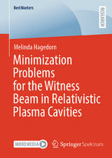 Minimization Problems for the Witness Beam in Relativistic Plasma Cavities - Melinda Hagedorn