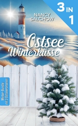 Ostseewinterküsse -  Nancy Salchow