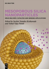 Mesoporous Silica Nanoparticles - 