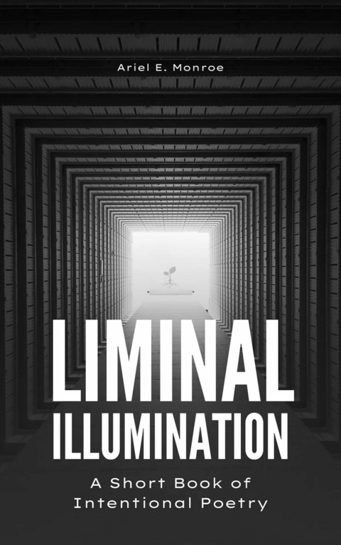 Liminal Illumination -  Ariel E Monroe