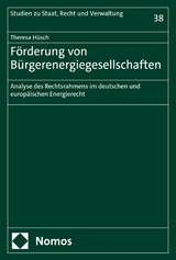 Förderung von Bürgerenergiegesellschaften -  Theresa Hüsch