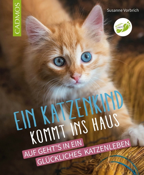 Ein Katzenkind kommt ins Haus -  Susanne Vorbrich