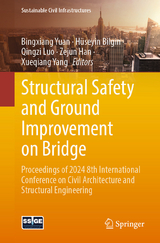 Structural Safety and Ground Improvement on Bridge - 