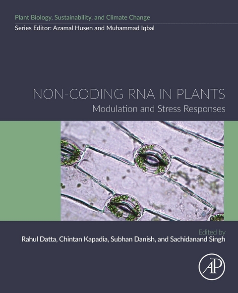 Non-coding RNA in Plants - 